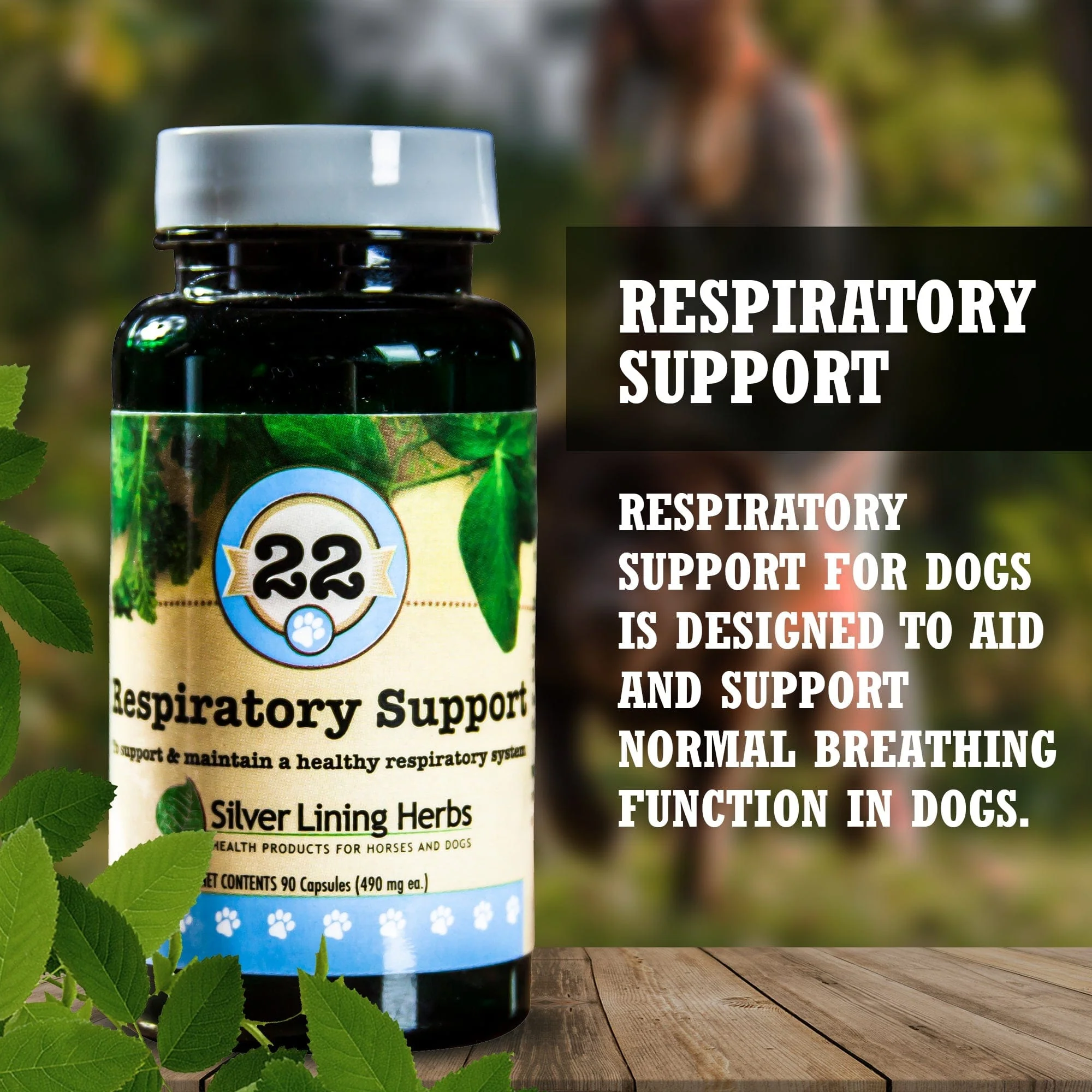 22 Respiratory Support for Canines - Image 2