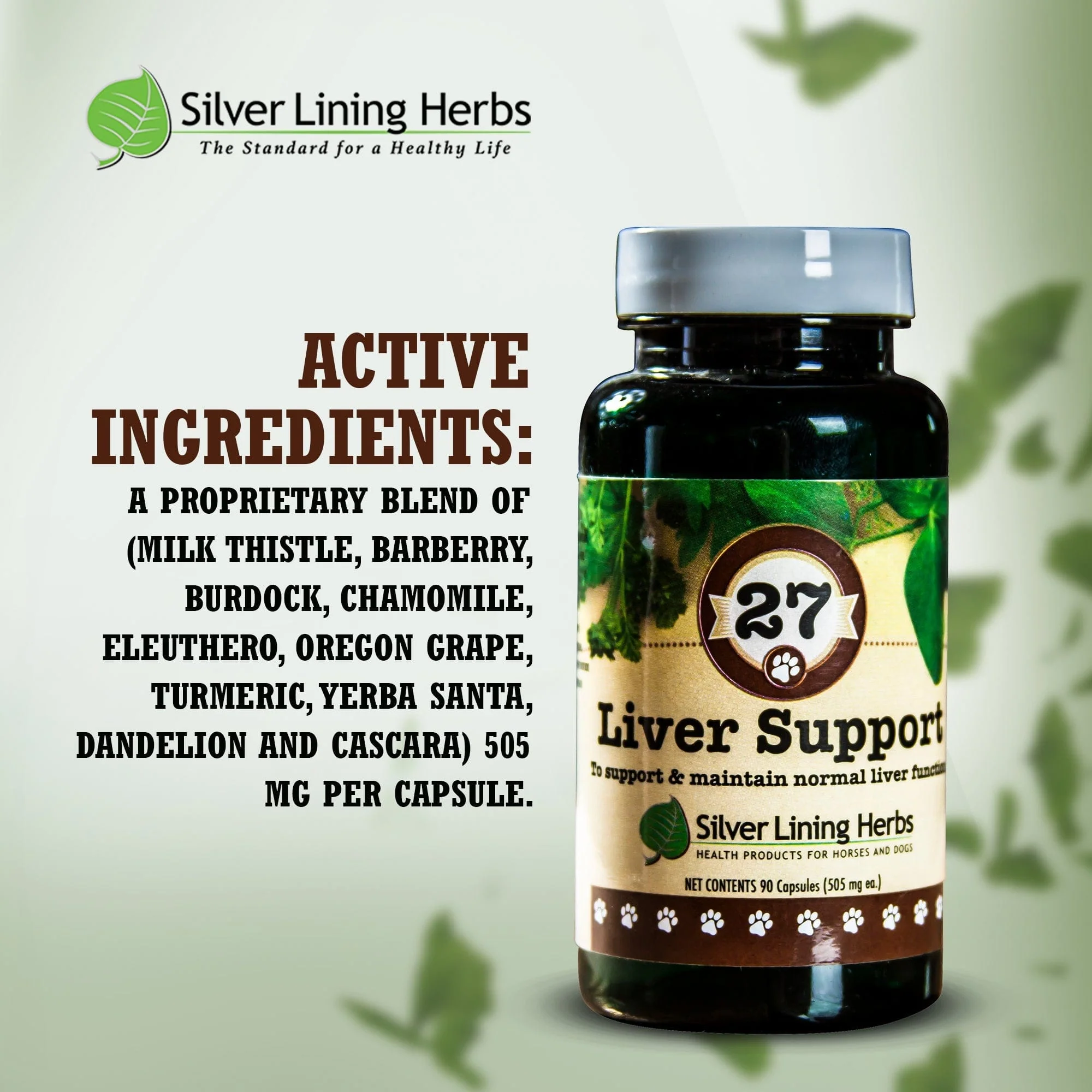 27 Liver Support for Canines - Image 4