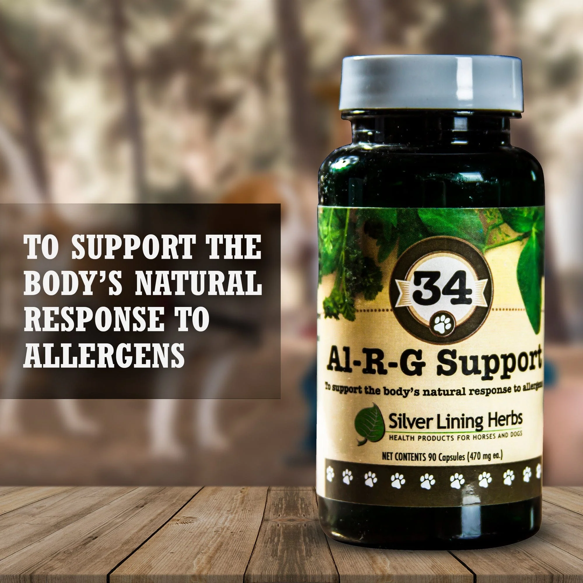 Al-R-G Support for Canines - Image 3