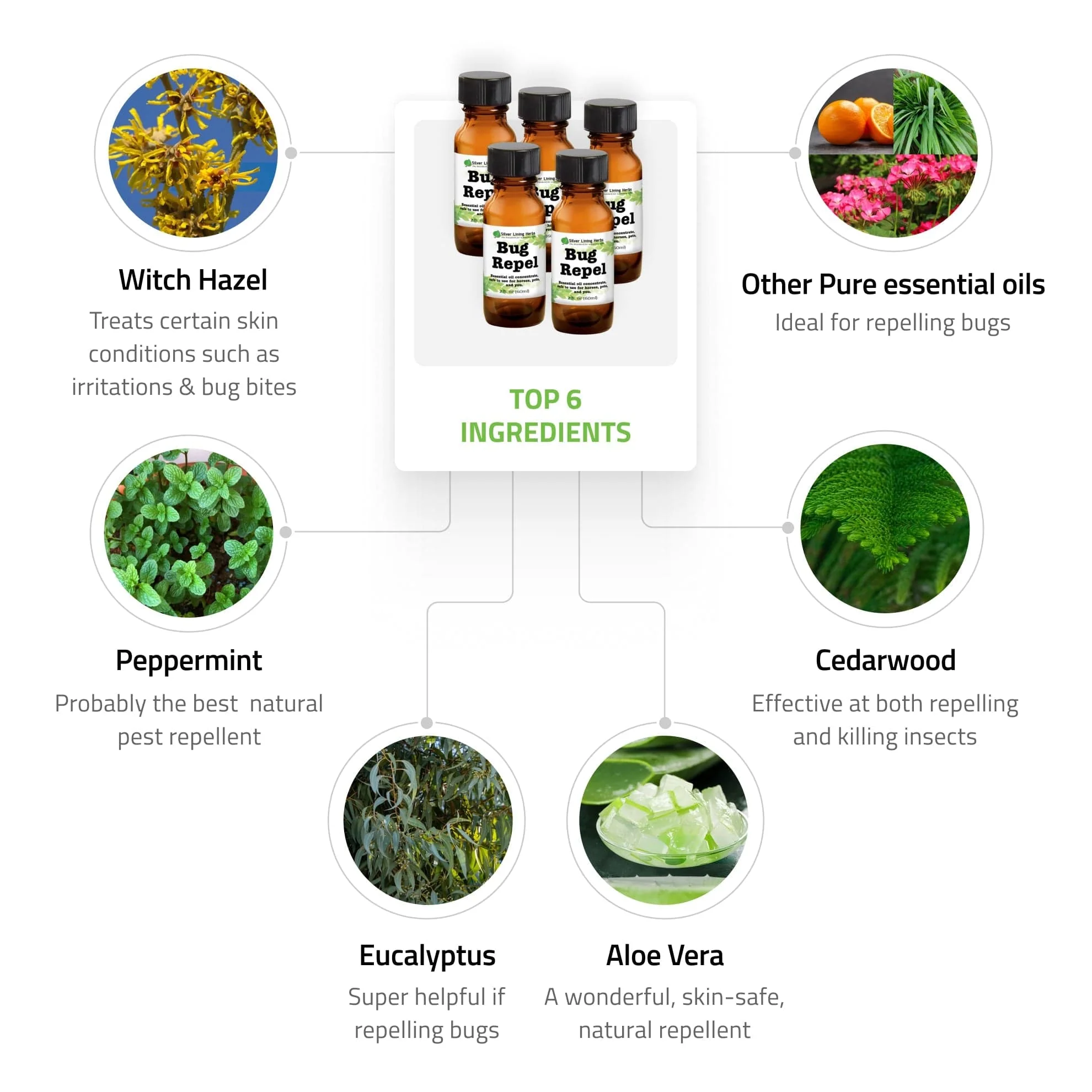 Bug Repel - Image 3