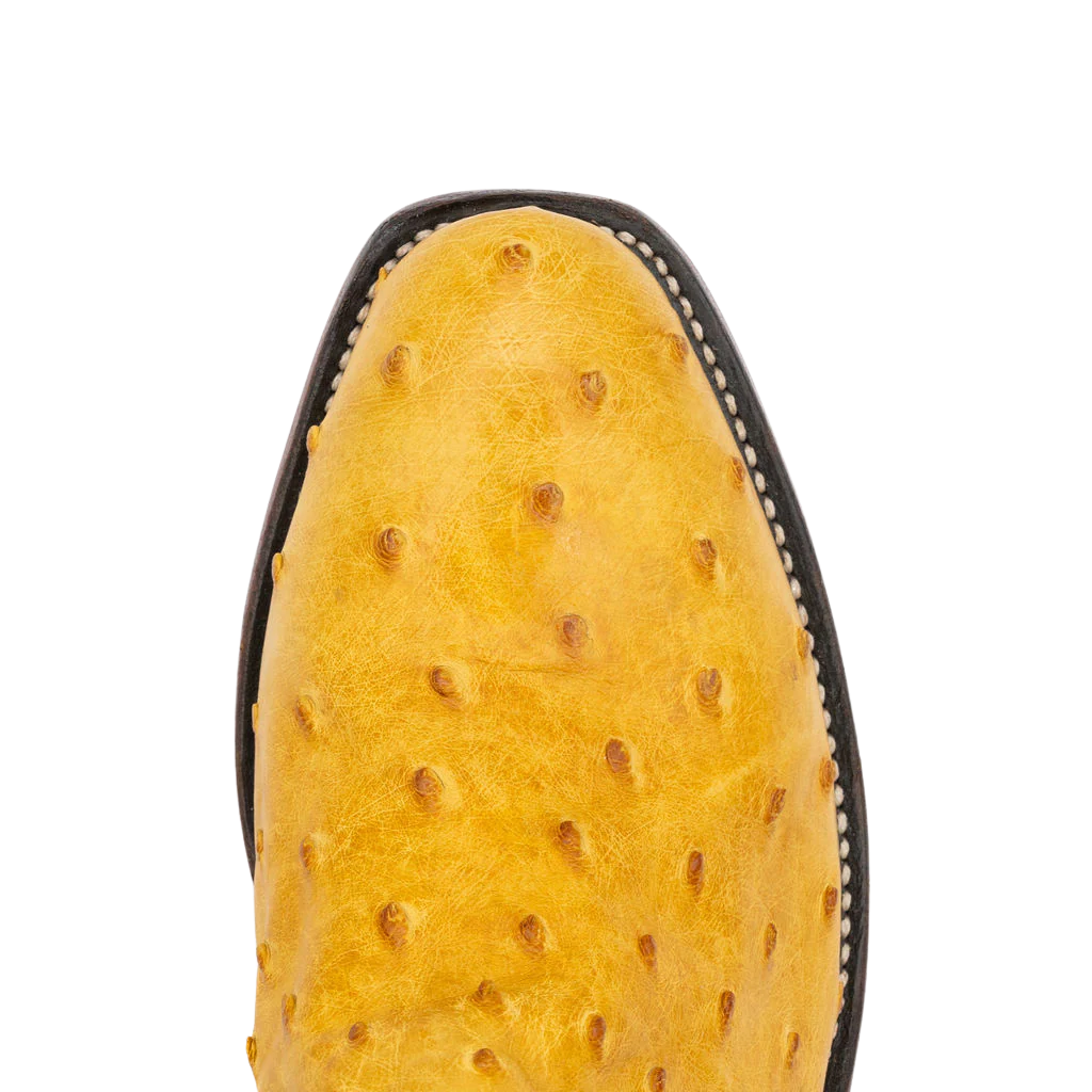 Buttercup Bruciato FQ Ostrich w/Cognac OPU Style No. 19741960 - Image 3