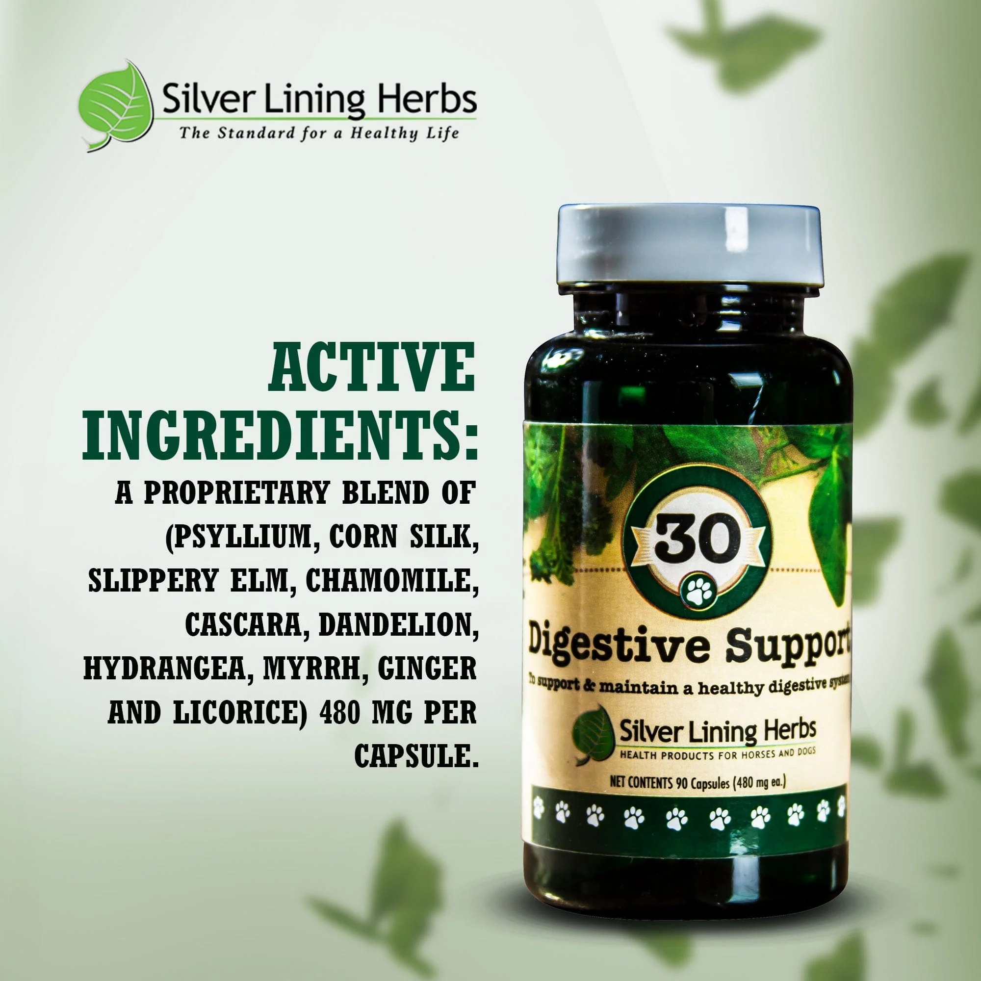 Digestive Support for Canines - Image 4