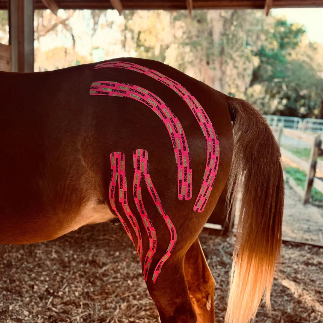 EQUINE|DEFENDER™ K Tape - Image 15