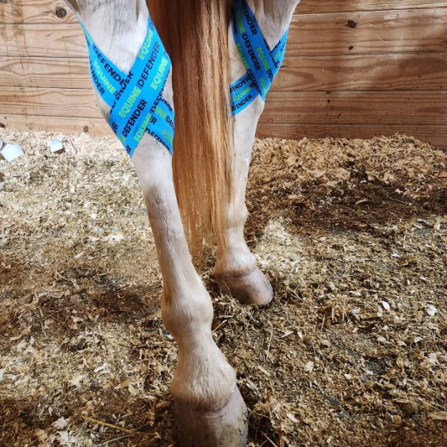 EQUINE|DEFENDER™ K Tape - Image 17