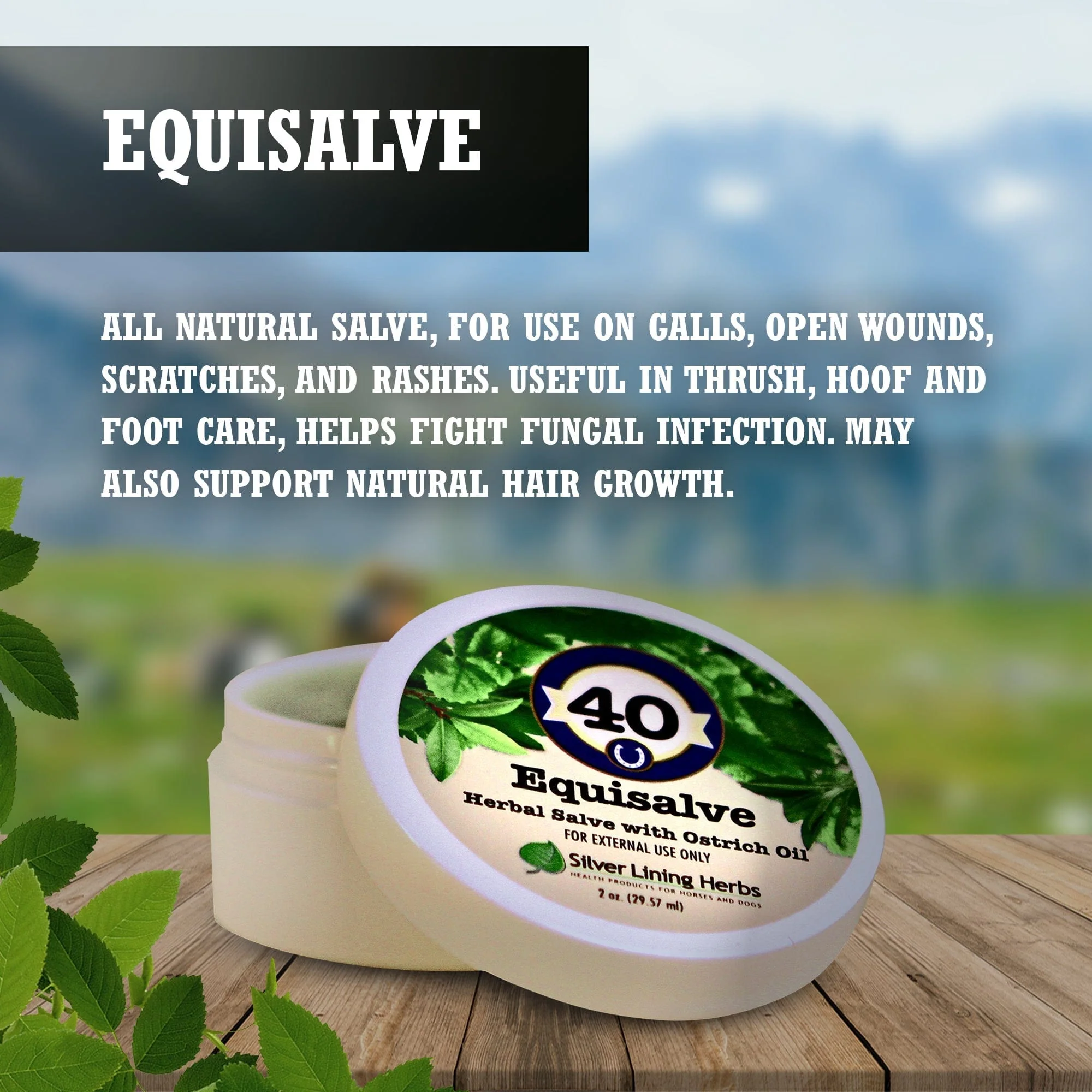 Equisalve For Horses - Image 2