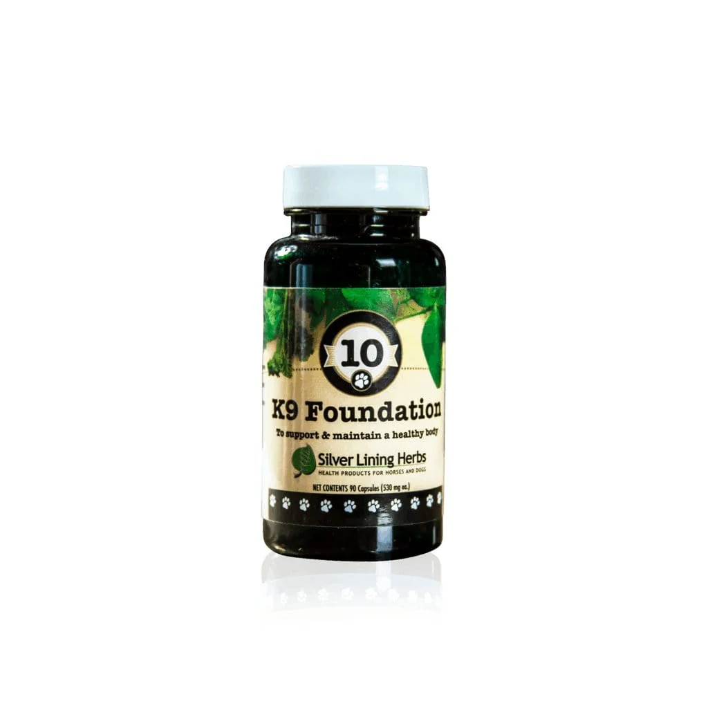 Foundation for Canines - Image 7