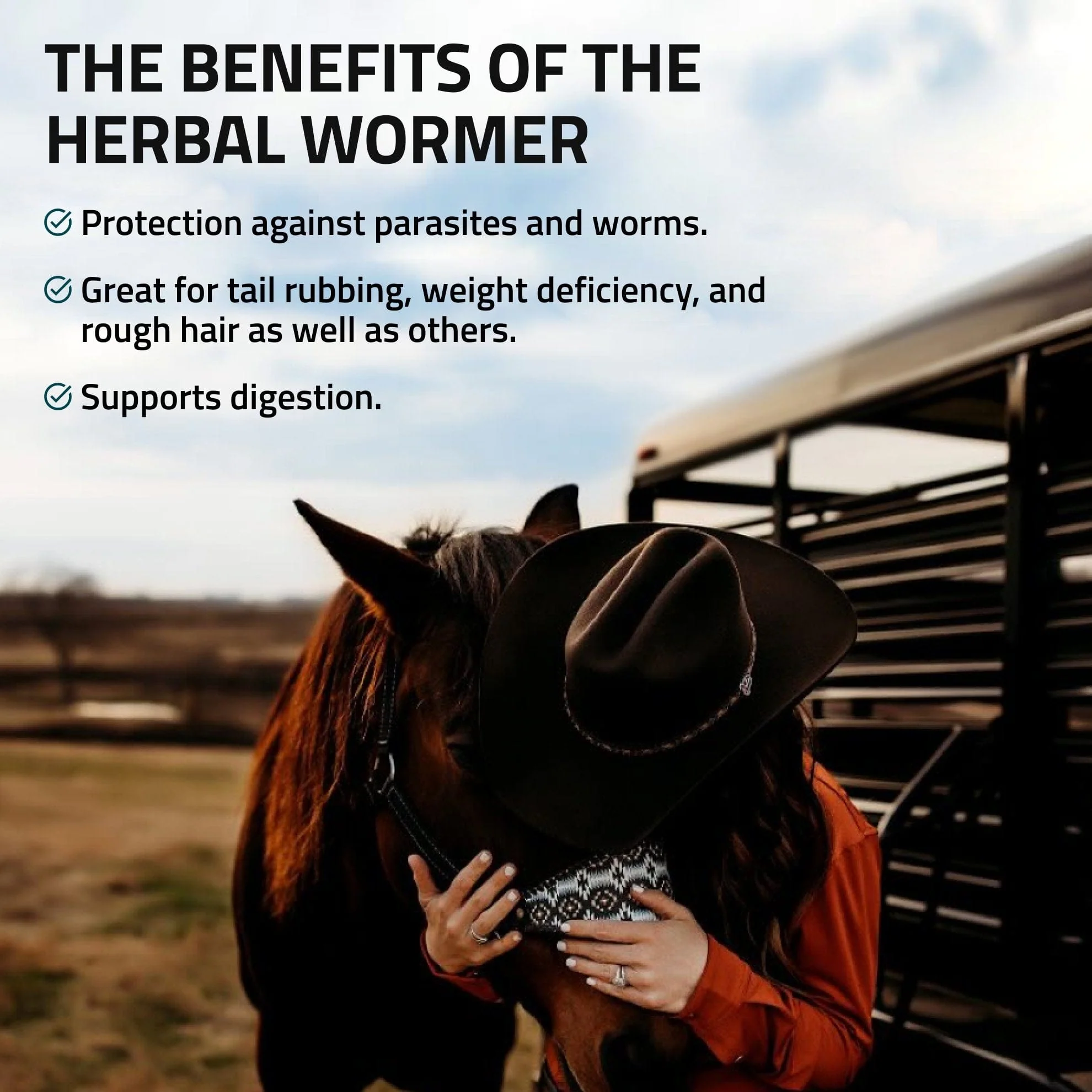 Herbal Wormer for Horses - Image 5