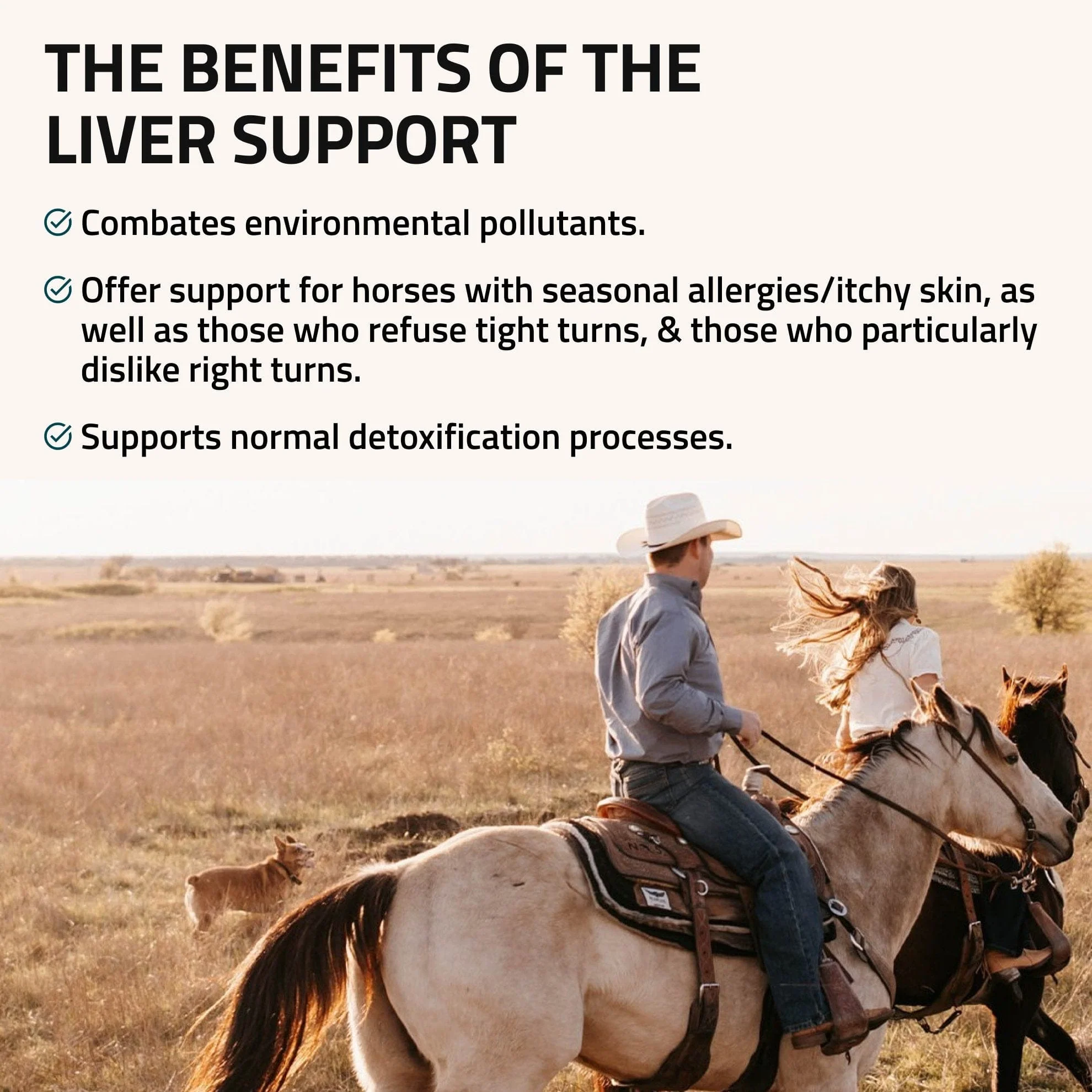 Liver Support for Horses - Image 3