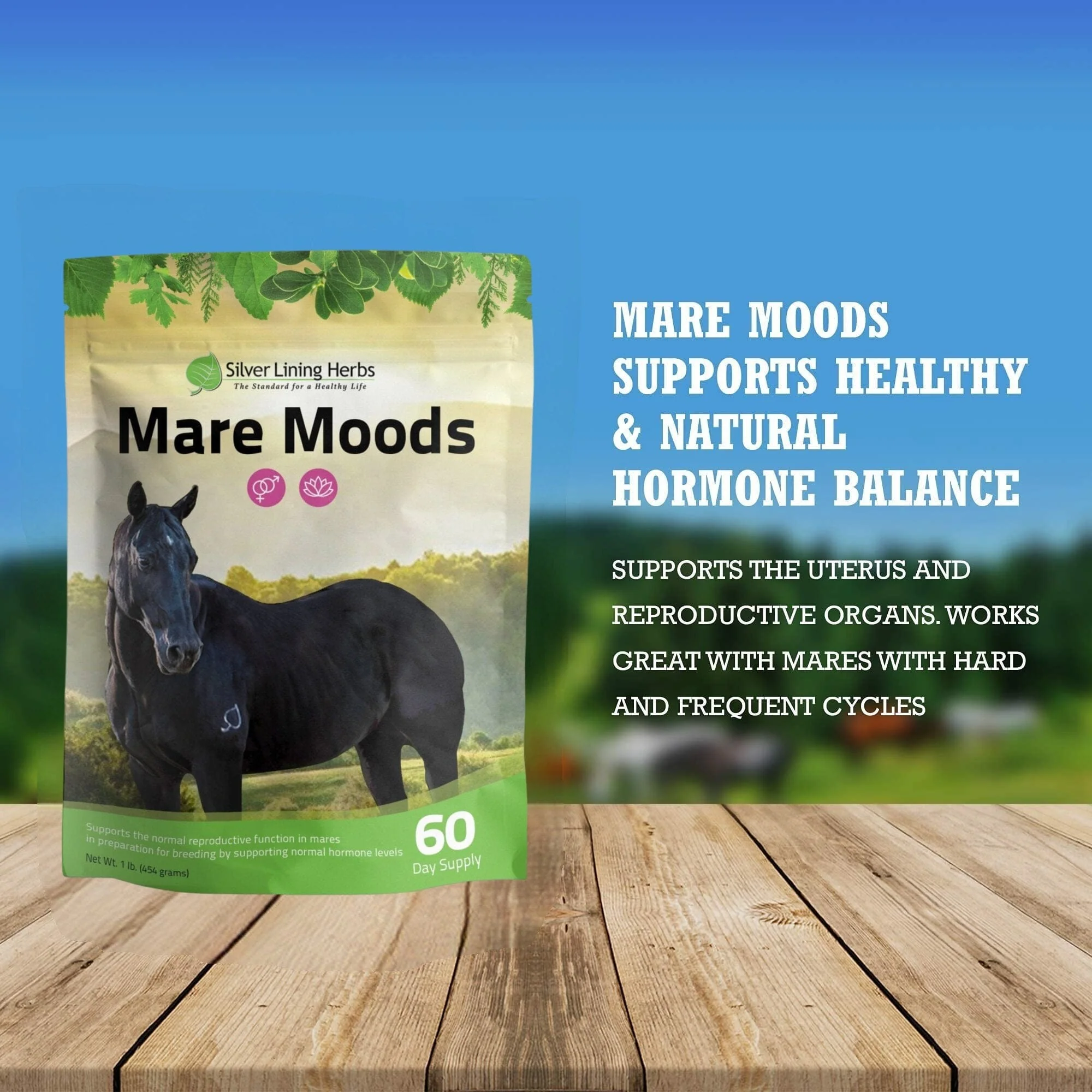 Mare Moods For Horses - Image 4
