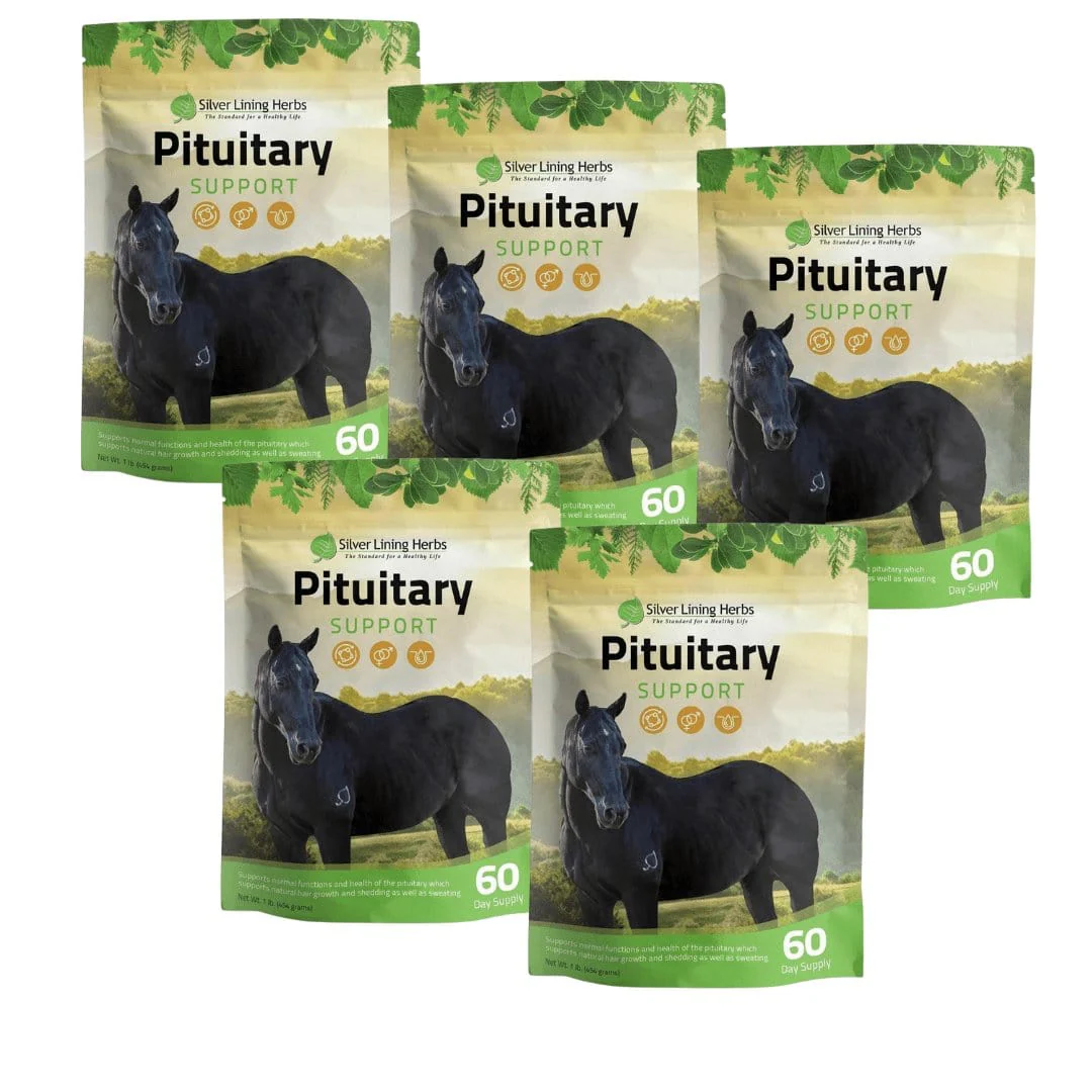 Pituitary Support for Horses - Image 7