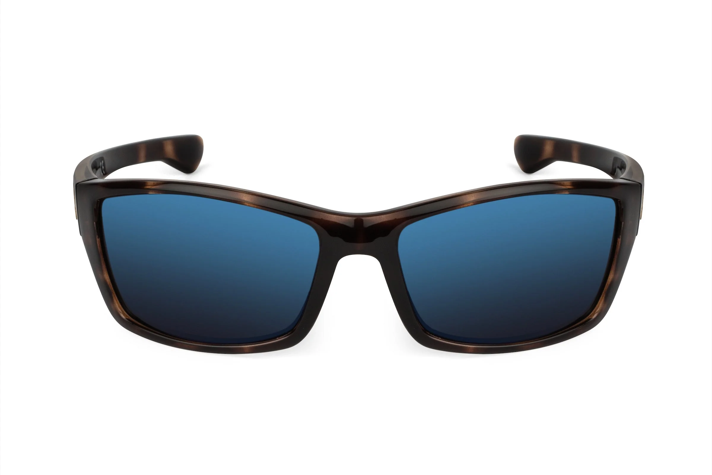 Scout - Tortoiseshell - Image 2