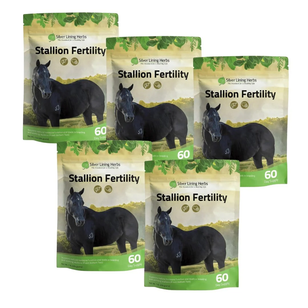 Stallion Fertility For Horses - Image 6